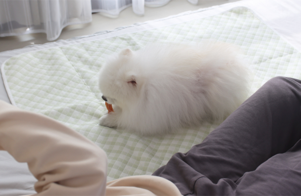 多功能靜音防水墊